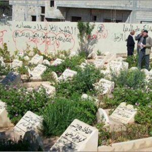 التعليقة الفريدة على حديث الجريدة